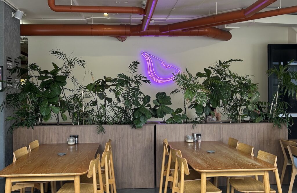 Picture of a neon fig on a wall at Smug Fig cafe