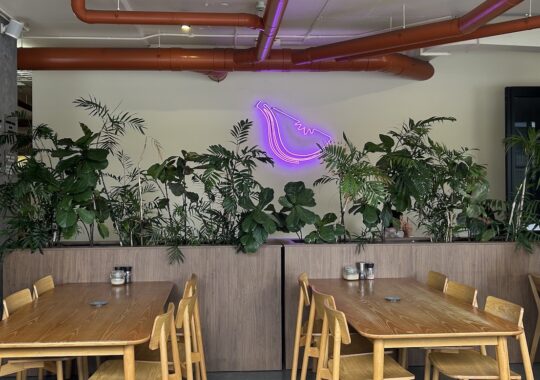 Picture of a neon fig on a wall at Smug Fig cafe