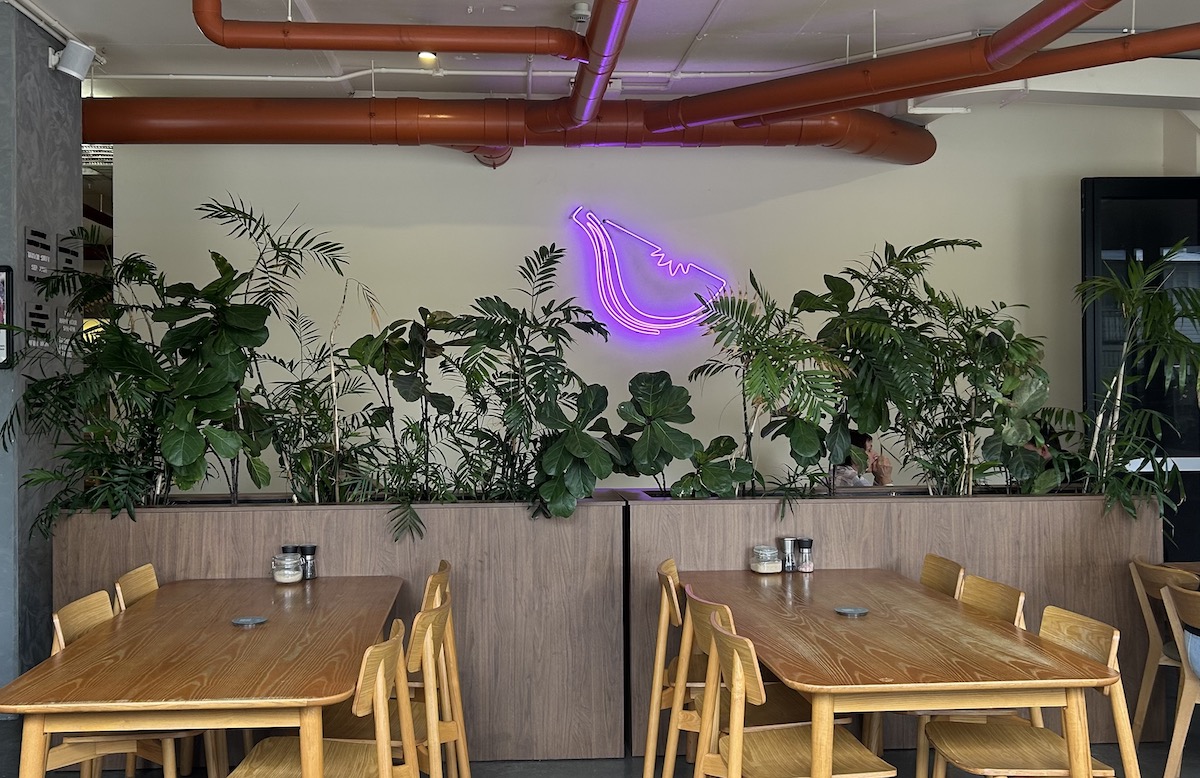Picture of a neon fig on a wall at Smug Fig cafe