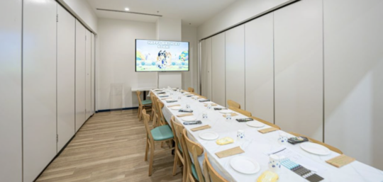 Picture of Area51 party room in playcentre