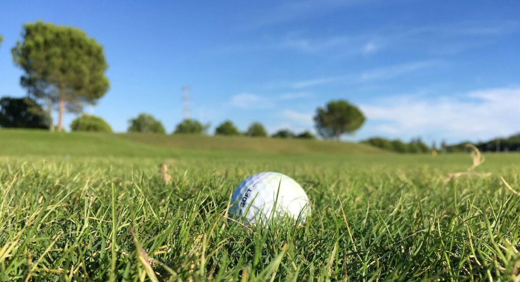 Picture of a golf ball on a Minnippi golf course in Brisbane