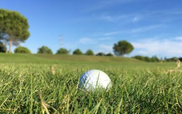 Picture of a golf ball on a Minnippi golf course in Brisbane