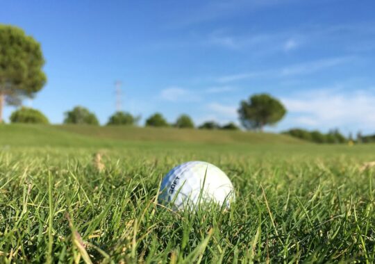 Picture of a golf ball on a Minnippi golf course in Brisbane